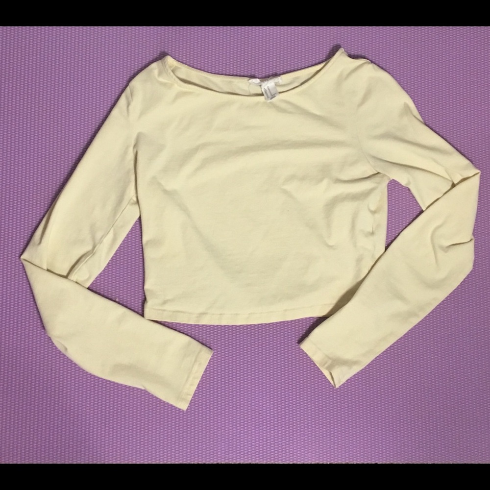 Long sleeved crop top